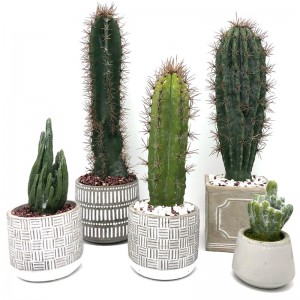 Nowoczesny sztuczny kaktus w domu lub biurze w dekoracyjnej soczystej doniczce